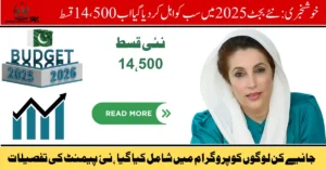 BISP 8171 Budget 2025, BISP new payment update, 8171 CNIC check online, Benazir Income Support Programme, BISP 8171 eligibility, BISP registration 2025, 8171 payment status, BISP online portal, BISP 2025 budget breakdown, BISP 8171 latest news,